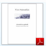 Afbeelding informatie-boekje Flow Remedies Edelsteenremedies